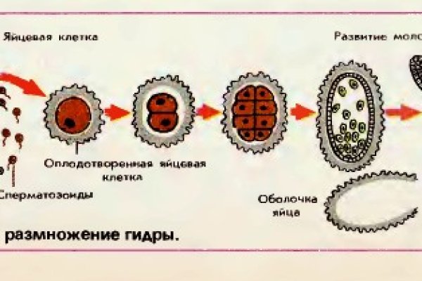 Кракен зеркало сегодня