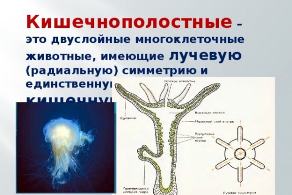 Что такое кракен площадка